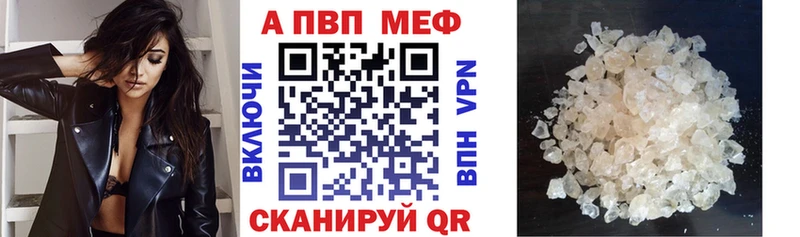 A-PVP СК КРИС Сургут