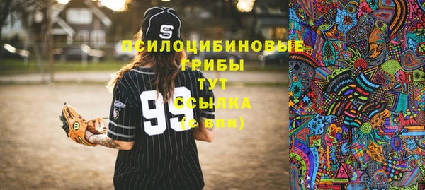 бошки Бугульма