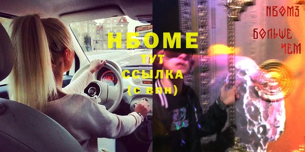 спиды Бородино