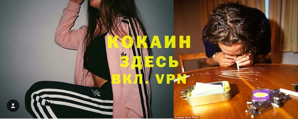 спиды Бородино
