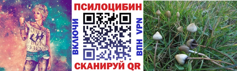 Псилоцибиновые грибы MAGIC MUSHROOMS  нарко площадка телеграм  Сургут 