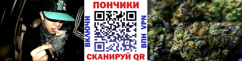 МАРИХУАНА SATIVA & INDICA МЕГА онион Сургут